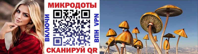 Галлюциногенные грибы прущие грибы  ссылка на мегу ССЫЛКА  Ливны 